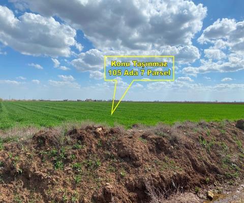 Şanlıurfa Harran Satılık Tarla — foto 3