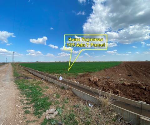Şanlıurfa Harran Satılık Tarla — foto 4