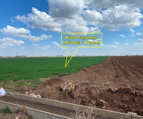 Şanlıurfa Harran Satılık Tarla — foto 5