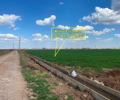 Şanlıurfa Harran Satılık Tarla — foto 6
