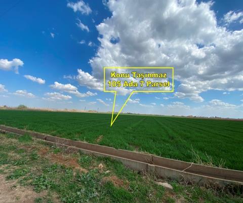 Şanlıurfa Harran Satılık Tarla — foto 7