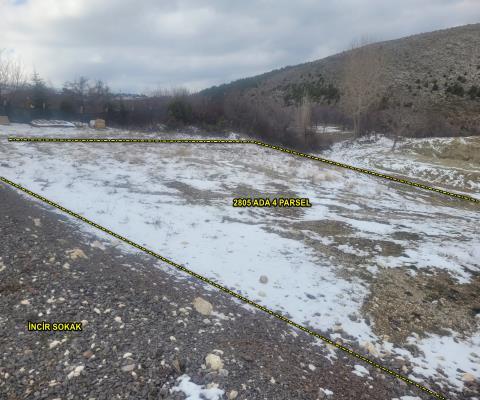 Kütahya Merkez Satılık Muhtelif Arsa — foto 3