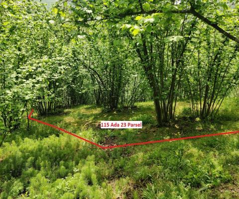 Sakarya Kocaali Satılık 3.924,96 M2  Tarla — foto 7