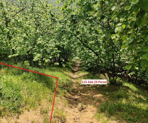 Sakarya Kocaali Satılık 3.924,96 M2  Tarla — foto 8