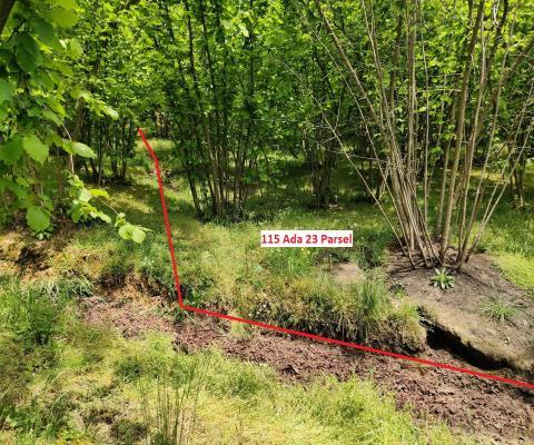 Sakarya Kocaali Satılık 3.924,96 M2  Tarla — foto 2