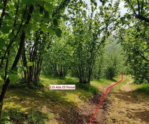 Sakarya Kocaali Satılık 3.924,96 M2  Tarla — foto 3