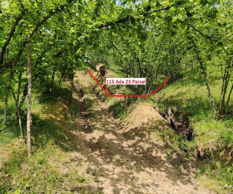 Sakarya Kocaali Satılık 3.924,96 M2  Tarla — foto 4