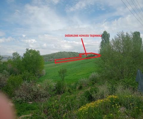 Ankara Çubuk 4409,81 M2 Tarla — foto 2