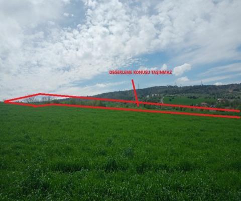 Ankara Çubuk 4409,81 M2 Tarla — foto 4