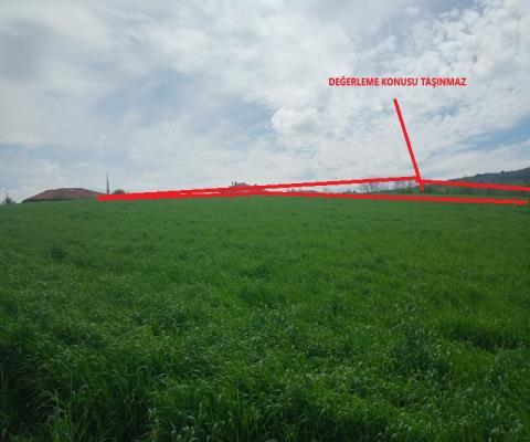 Ankara Çubuk 4409,81 M2 Tarla — foto 5