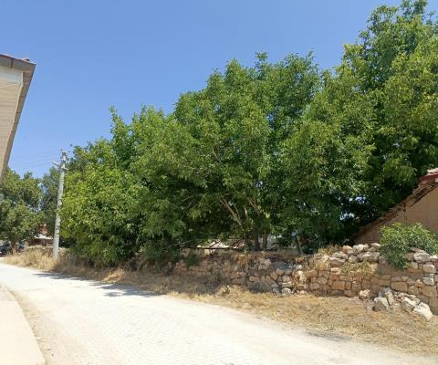 Afyonkarahisar Başmakçı 253m2 Arsa — foto 4