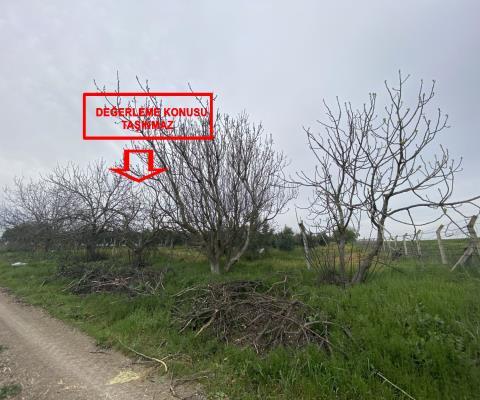 Balıkesir Bandırma Satılık Tarla — foto 5