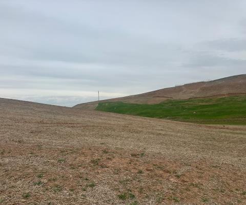 Siirt Kurtalan Satılık Muhtelif Arsa — foto 2