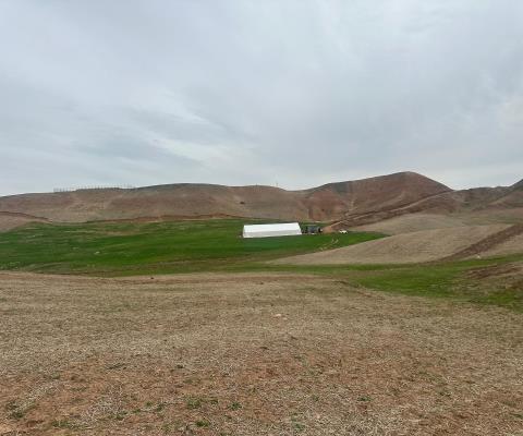 Siirt Kurtalan Satılık Muhtelif Arsa — foto 3