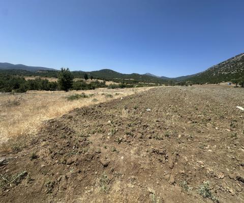 Denizli Acıpayam 26.843m2 Tarla
