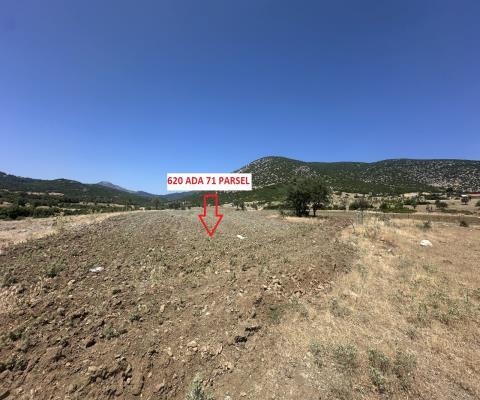Denizli Acıpayam 26.843m2 Tarla — foto 2