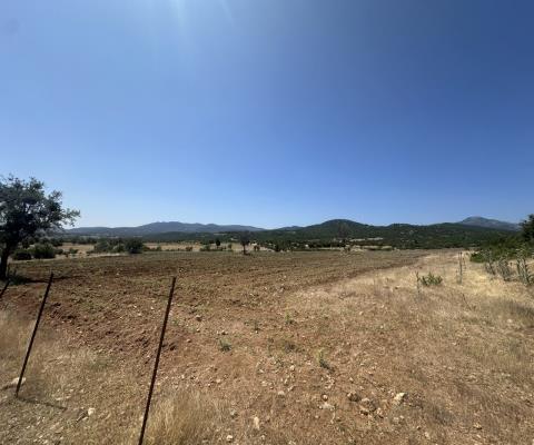 Denizli Acıpayam 26.843m2 Tarla — foto 3