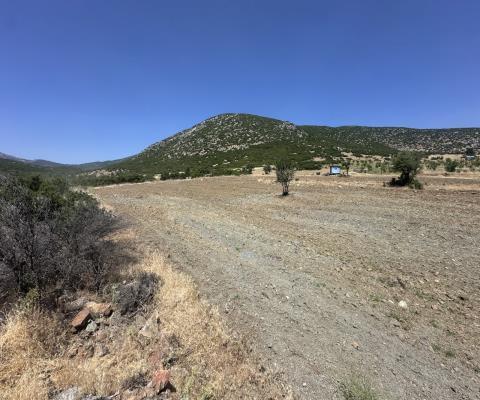 Denizli Acıpayam 26.843m2 Tarla — foto 4