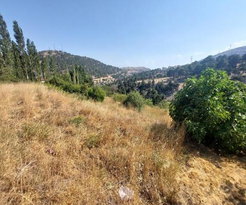 Mersin Mut 574,63 Muhtelif Arsa
