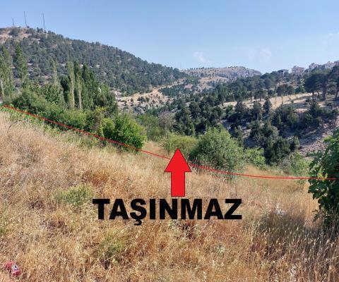 Mersin Mut 574,63 Muhtelif Arsa — foto 3