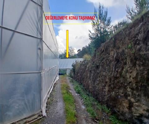 Antalya Gazipaşa 2210 M2  Tarla — foto 2