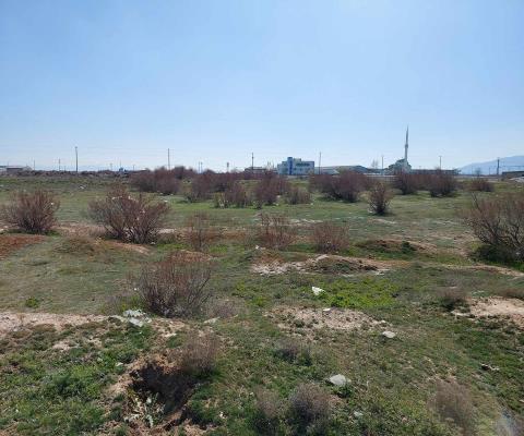 Afyonkarahisar 4164 M2 Arsa — foto 5