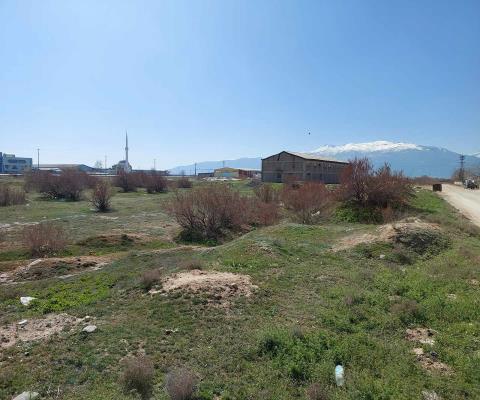 Afyonkarahisar 4164 M2 Arsa — foto 6