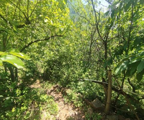 Artvin Merkez 2.148m2 Tarla