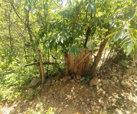 Artvin Merkez 2.148m2 Tarla — foto 2