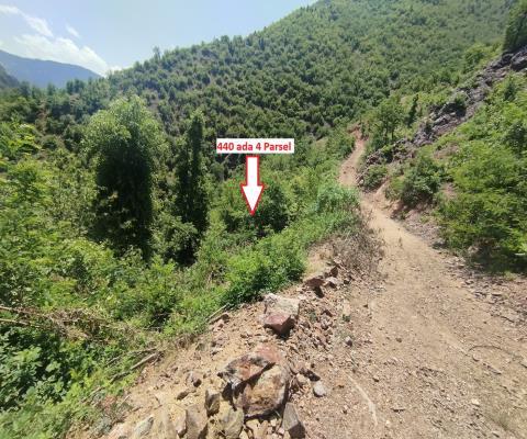 Artvin Merkez 2.148m2 Tarla — foto 3