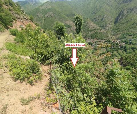 Artvin Merkez 2.148m2 Tarla — foto 4