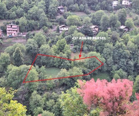 Artvin Merkez 1.950m2 Tarla