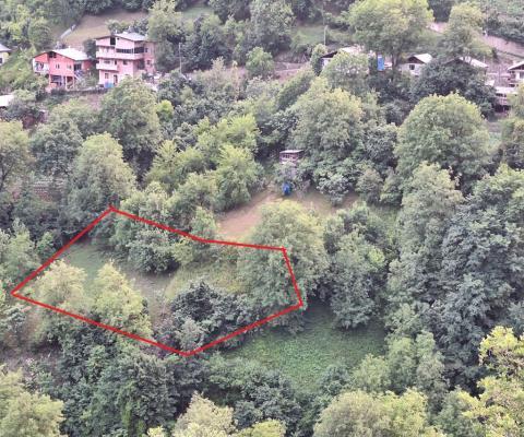 Artvin Merkez 1.950m2 Tarla — foto 2