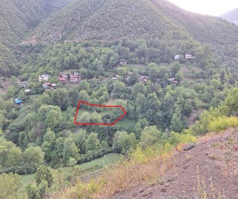 Artvin Merkez 1.950m2 Tarla — foto 3
