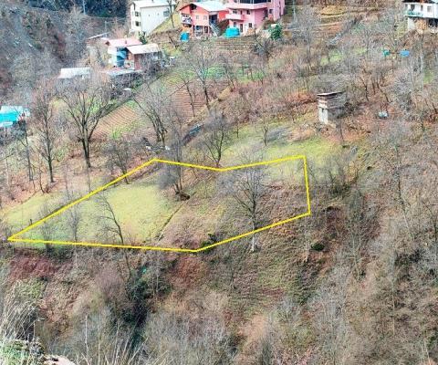 Artvin Merkez 1.950m2 Tarla — foto 4