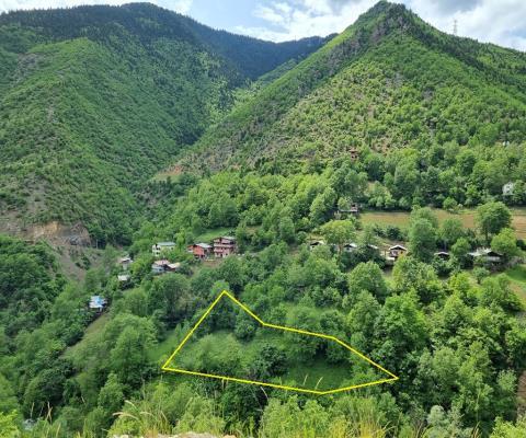 Artvin Merkez 1.950m2 Tarla — foto 6