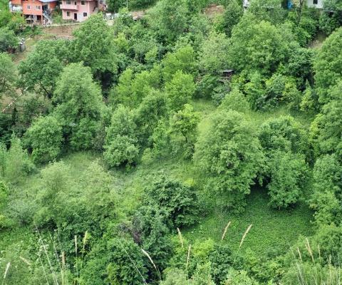 Artvin Merkez 1.950m2 Tarla — foto 7
