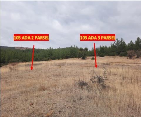 Denizli Tavas 570m2 Muhtelif Arsa — foto 4