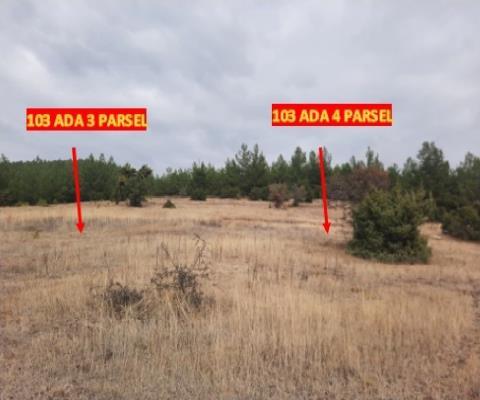 Denizli Tavas 570m2 Muhtelif Arsa — foto 5