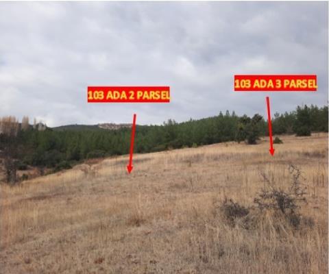 Denizli Tavas 570m2 Muhtelif Arsa — foto 6