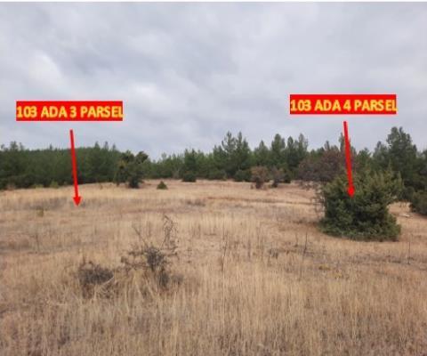 Denizli Tavas 570m2 Muhtelif Arsa — foto 7