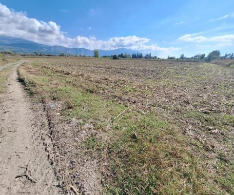 Muğla Seydikemer Satılık Tarla