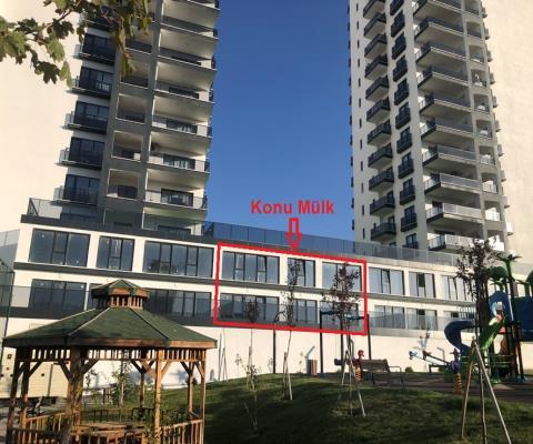 Görsel 3
