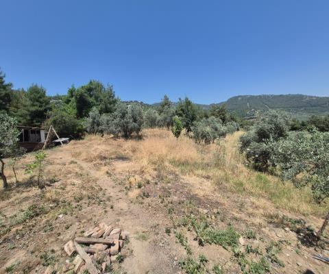 İzmir Selçuk Satılık Muhtelif Arsa