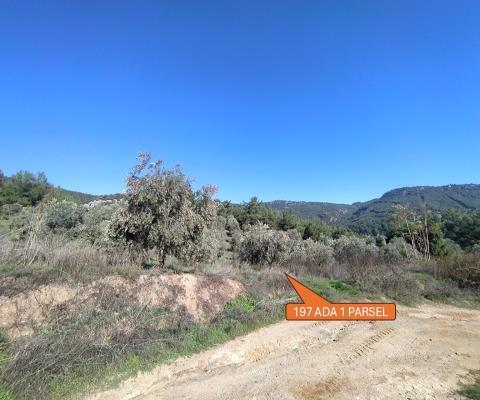 İzmir Selçuk Satılık Muhtelif Arsa — foto 2