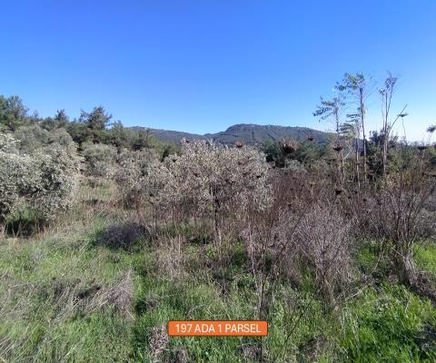 İzmir Selçuk Satılık Muhtelif Arsa — foto 3