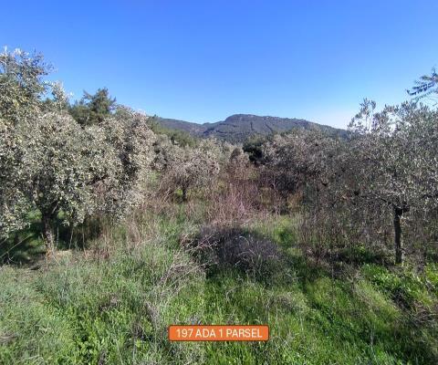 İzmir Selçuk Satılık Muhtelif Arsa — foto 4
