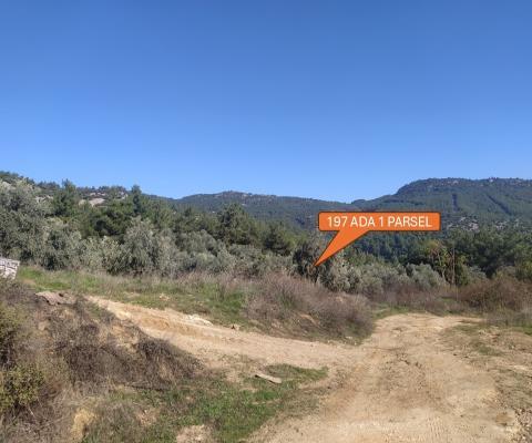 İzmir Selçuk Satılık Muhtelif Arsa — foto 7