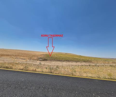 Yozgat Sarıkaya 28.000 M2 Tarla