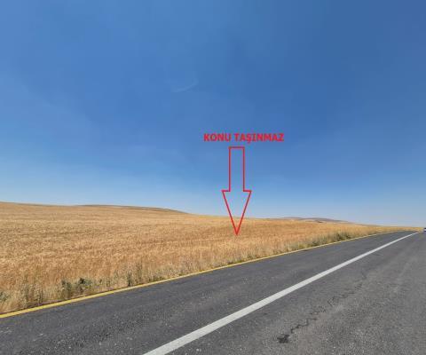 Yozgat Sarıkaya 28.000 M2 Tarla — foto 3